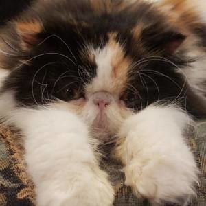 Meet your Posher, Gina